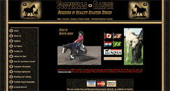Desktop Screenshot of foothillsranch.com